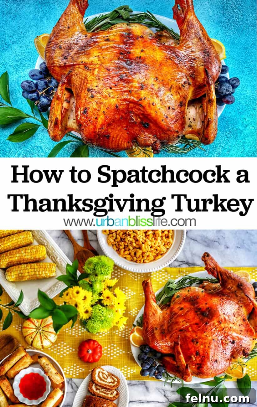 How to spatchcock a turkey text with photos of the best thanksgiving turkey ever!