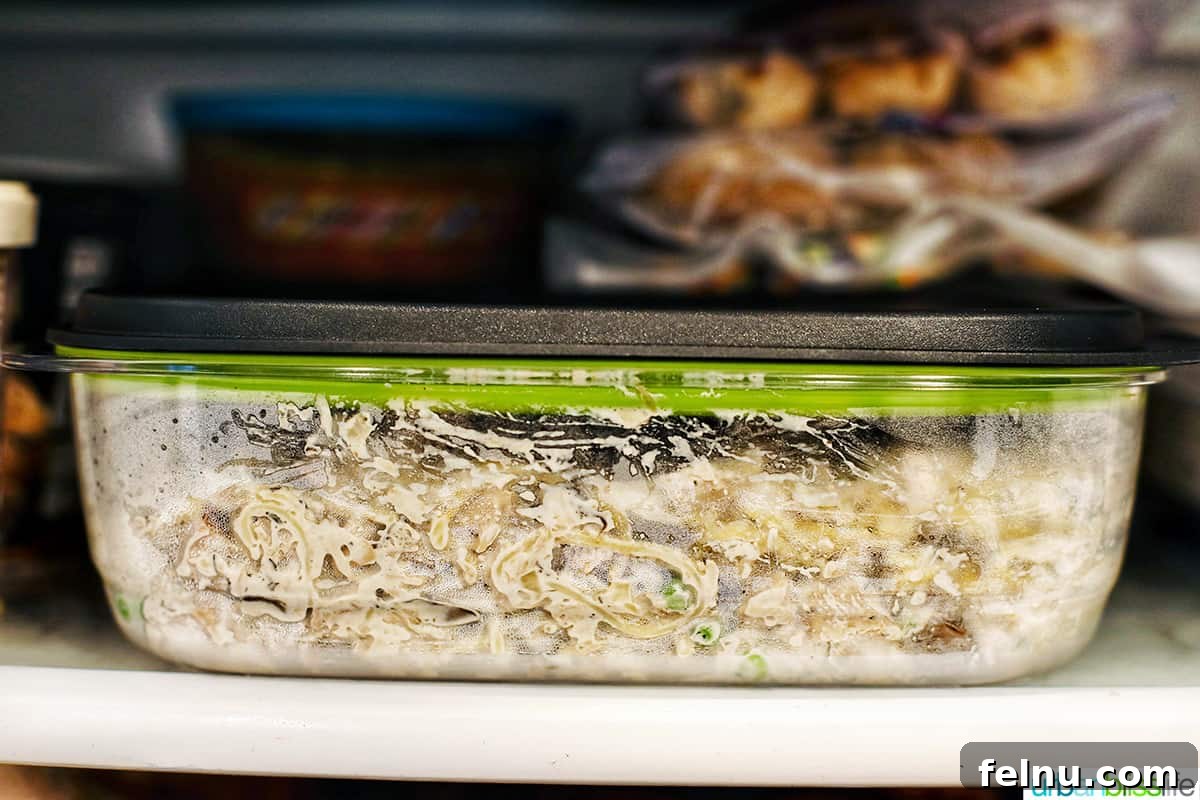 Slow-Cooker Turkey Tetrazzini Delight 20 Turkey Tetrazzini in freezer container