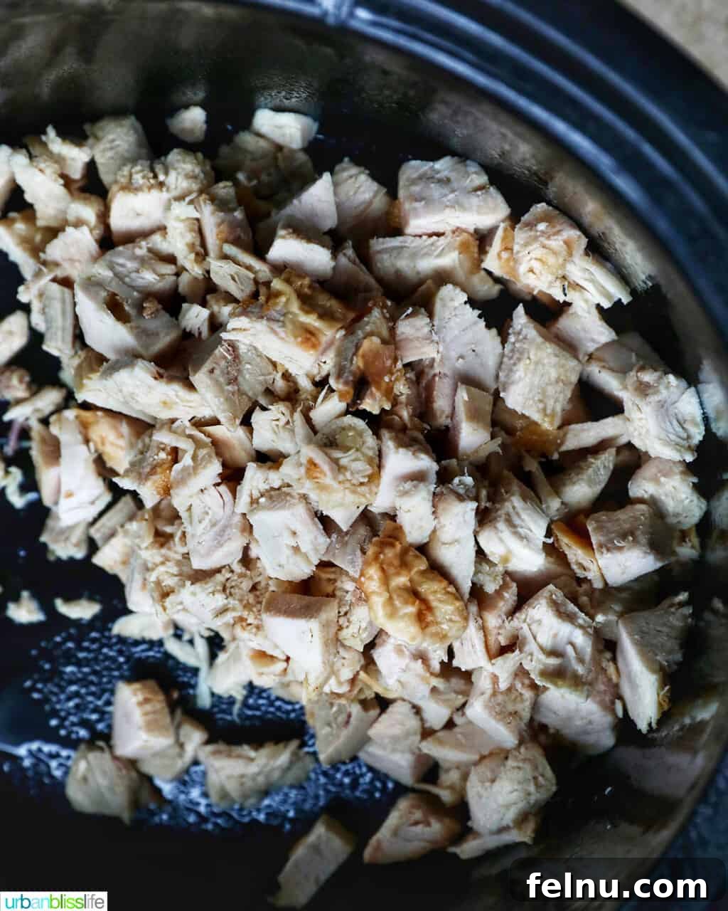 Slow-Cooker Turkey Tetrazzini Delight 5 Turkey added to crockpot