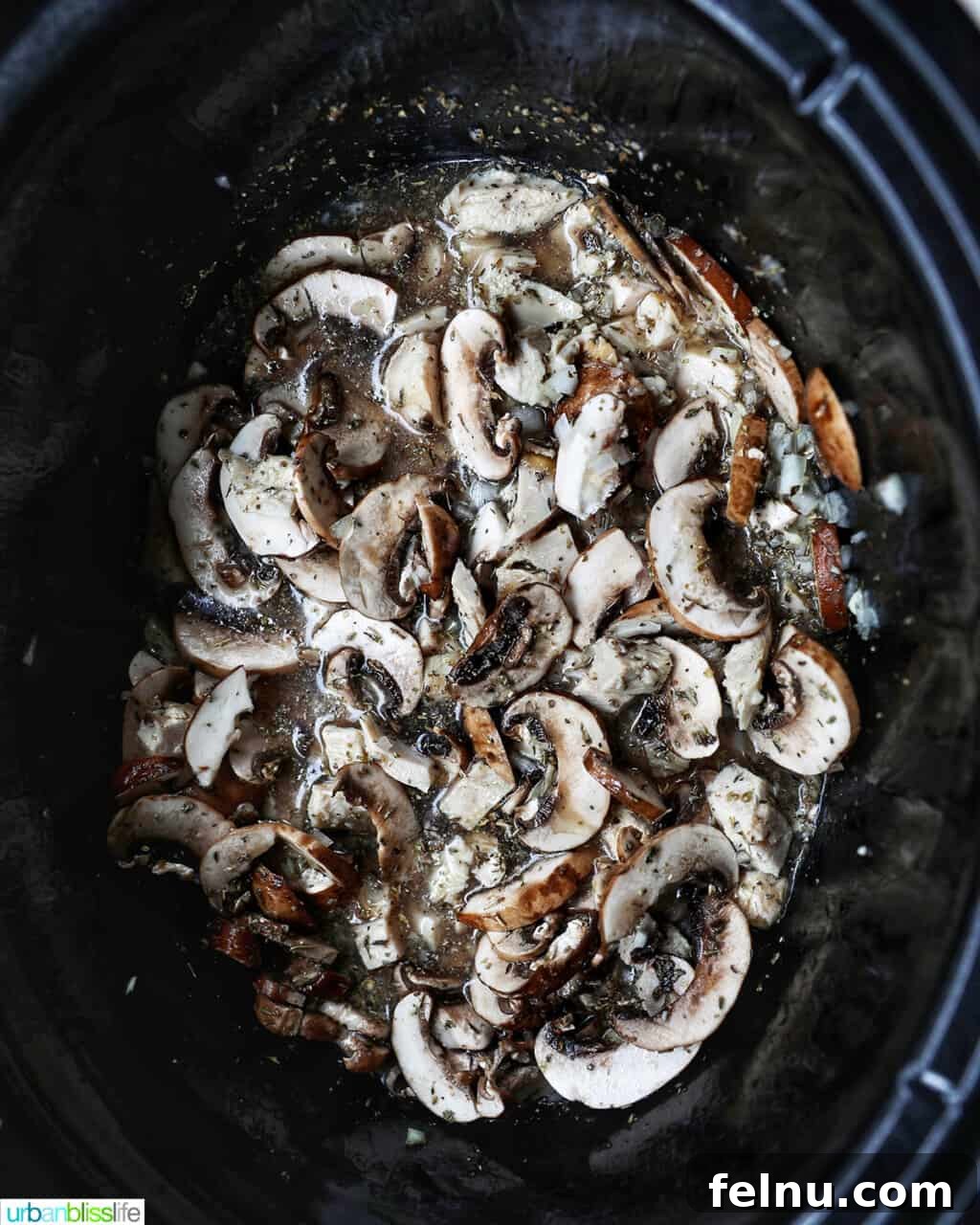 Slow-Cooker Turkey Tetrazzini Delight 10 Adding chicken broth to the ingredients