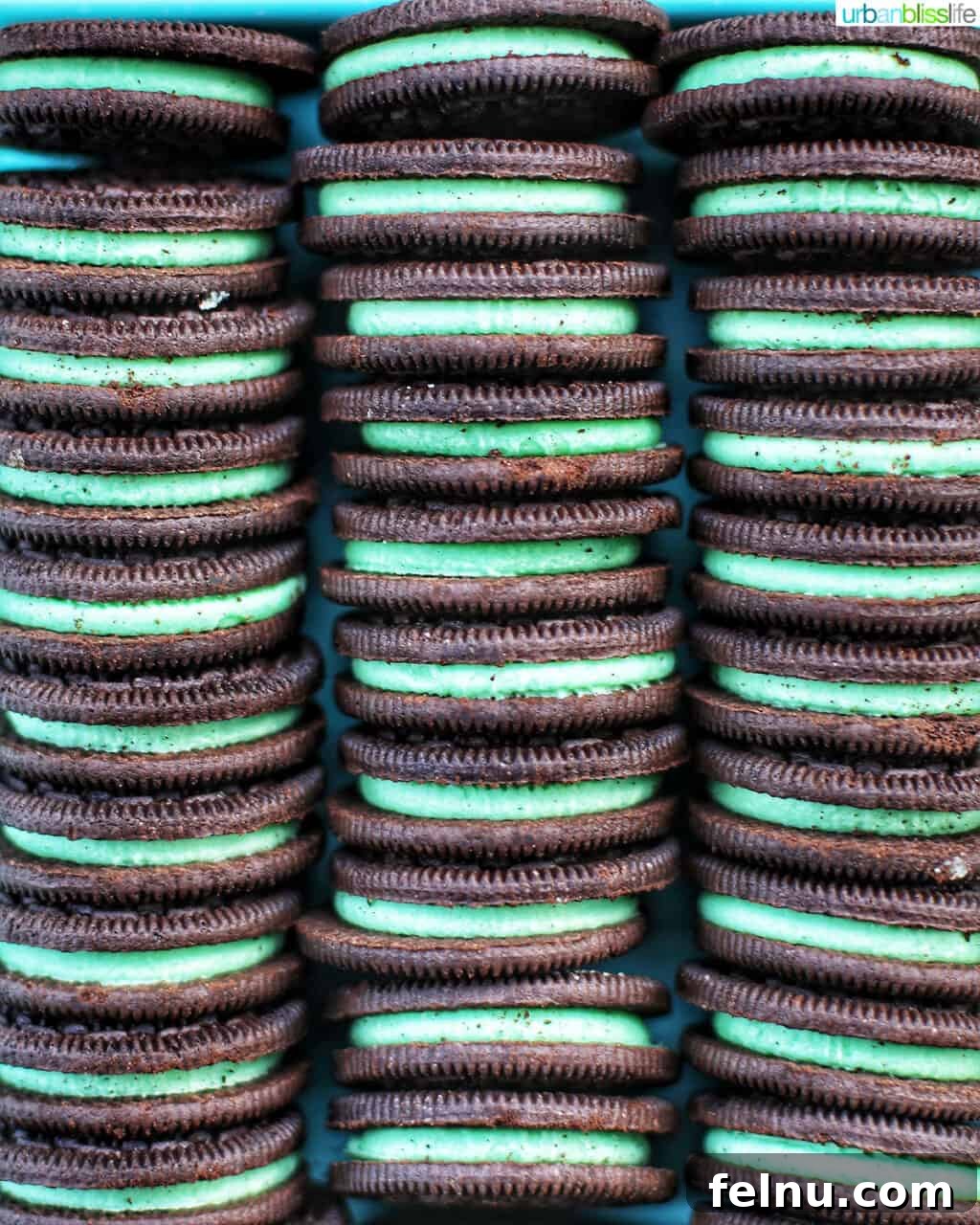 Mint Oreo Bliss Bites 7 Rows of green Mint Oreo Cookies.