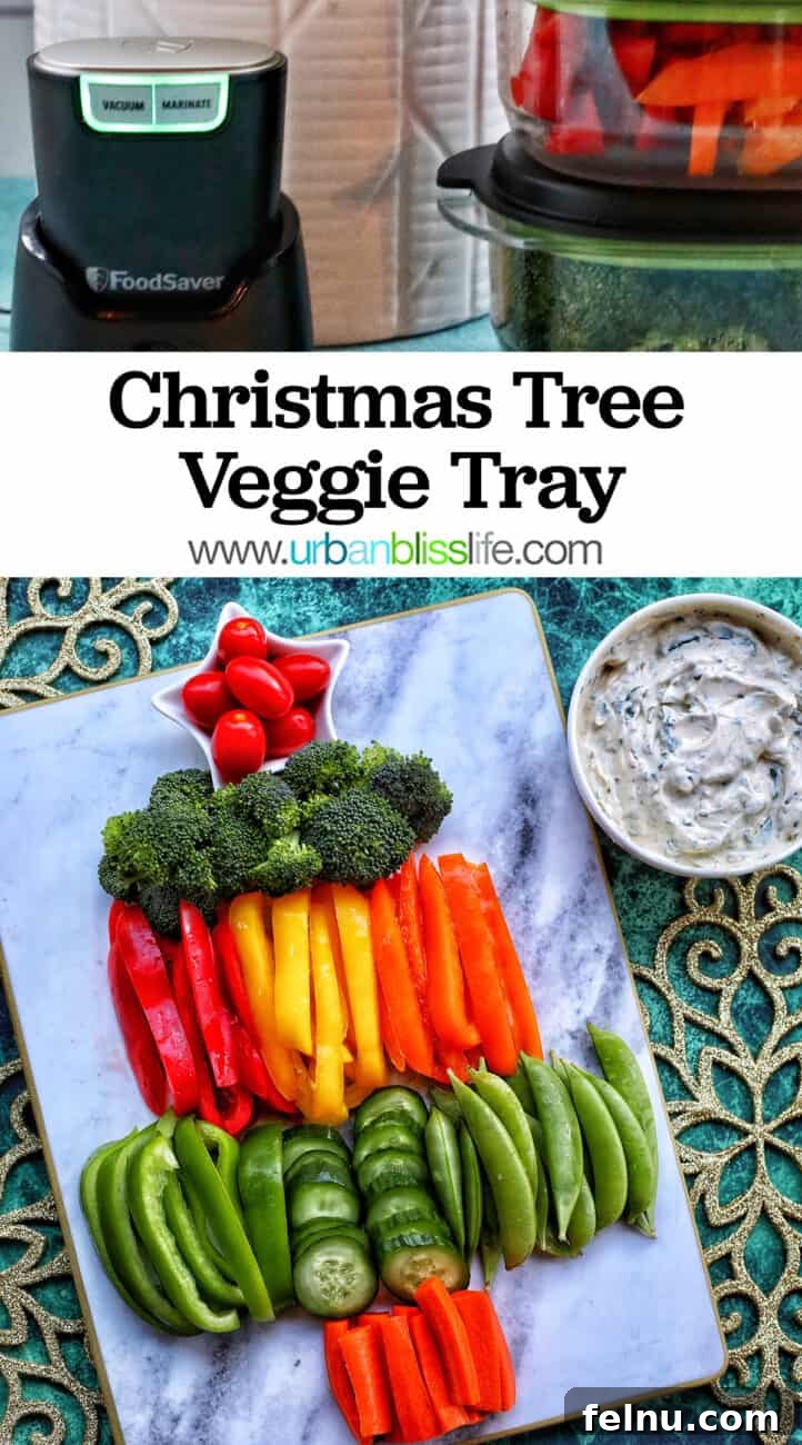 Christmas Tree Vegetable Platter 14 FoodSaver MultiUse HandHeld Vacuum Sealer and Christmas Tree Veggie Tray