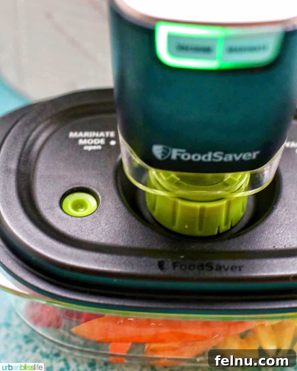 Christmas Tree Vegetable Platter 9 FoodSaver Handheld Vacuum Sealer sealing veggies in containers