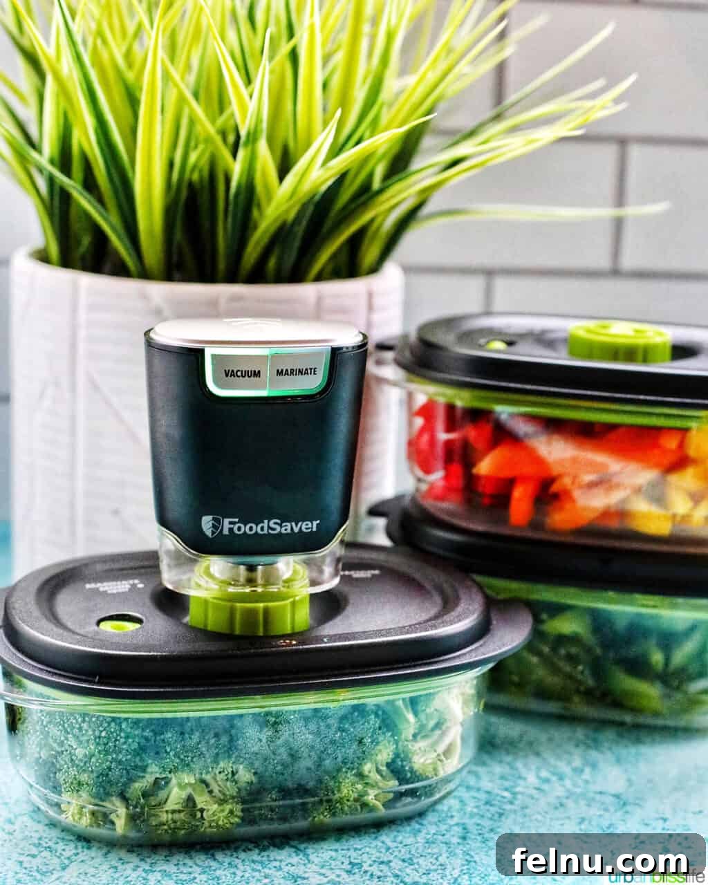 Christmas Tree Vegetable Platter 10 Vacuum-sealed vegetables in containers