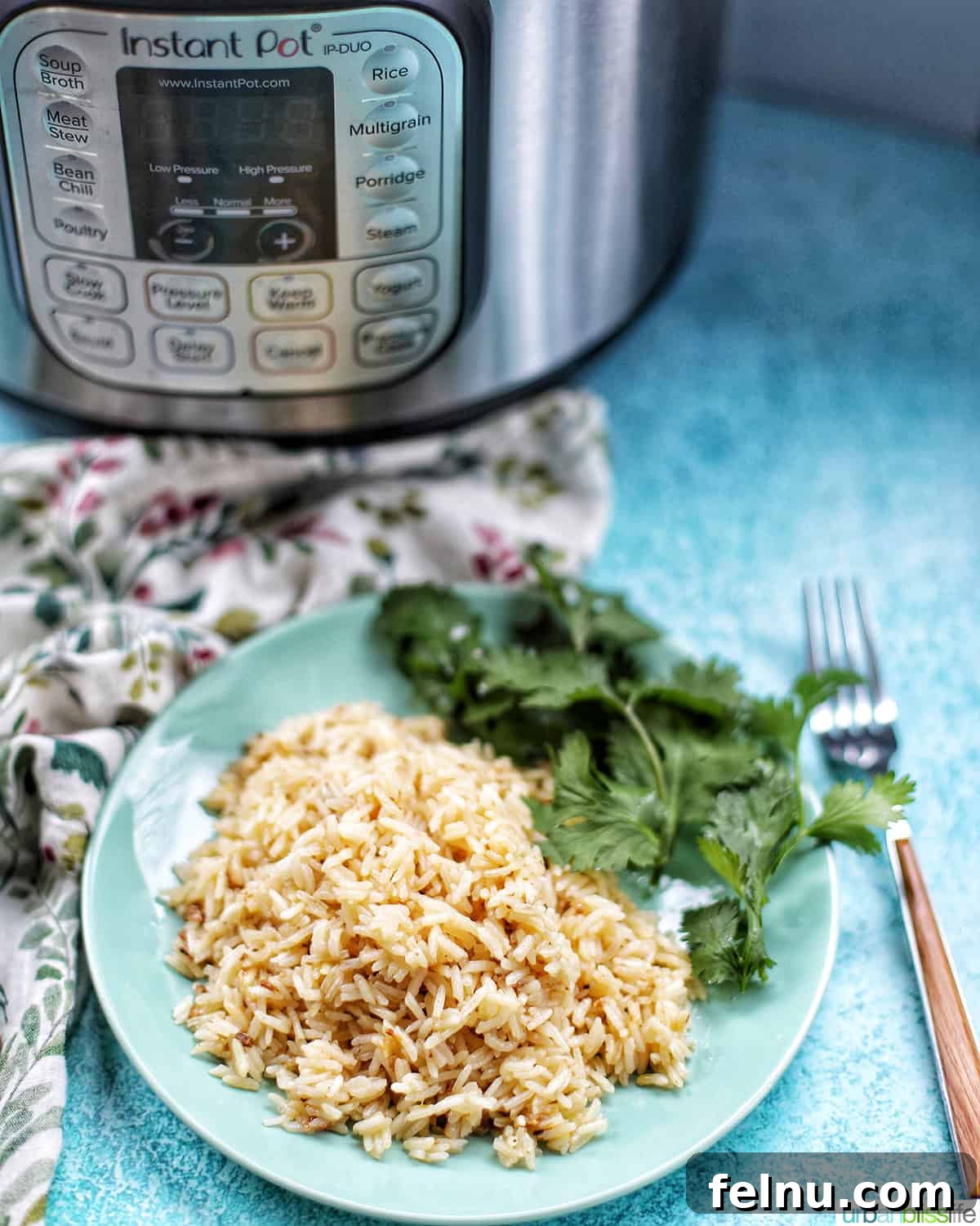 Flavorful Instant Pot Garlic Rice 11 instant pot with plate of garlic rice and herbs, a fork, colorful napkin, on a bright blue table.