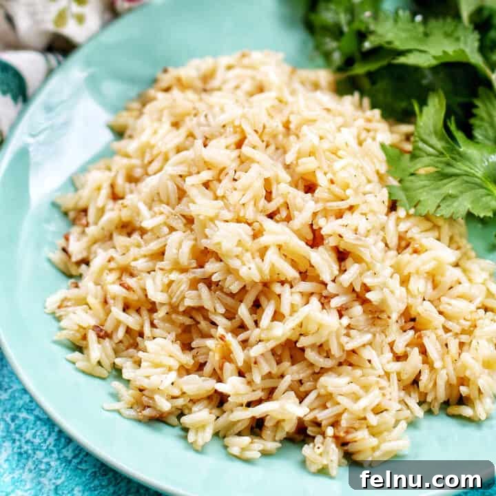 Flavorful Instant Pot Garlic Rice 16 instant pot garlic rice with parsley.