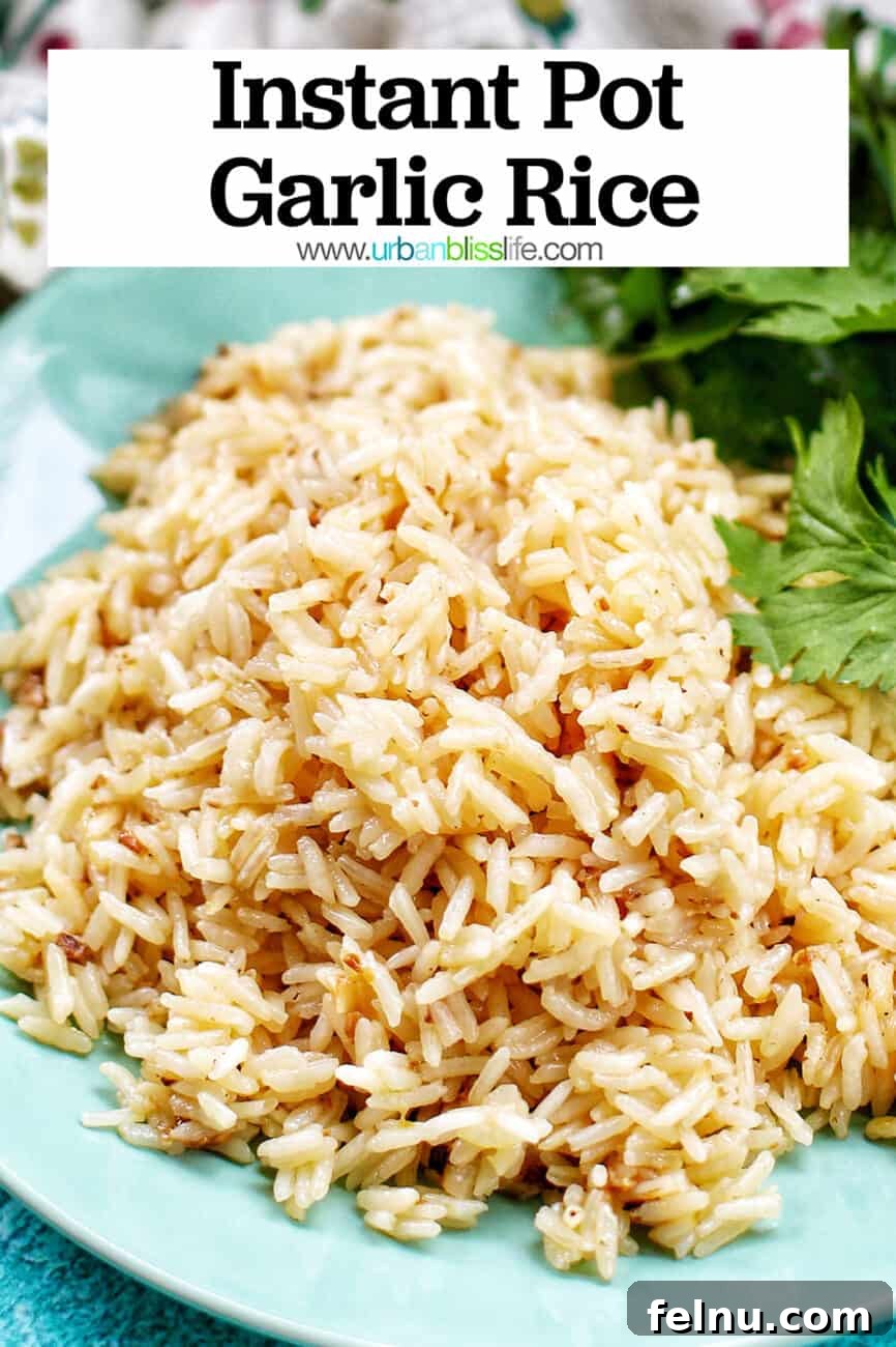 Flavorful Instant Pot Garlic Rice 17 ingredients to make instant pot garlic rice with text overlay