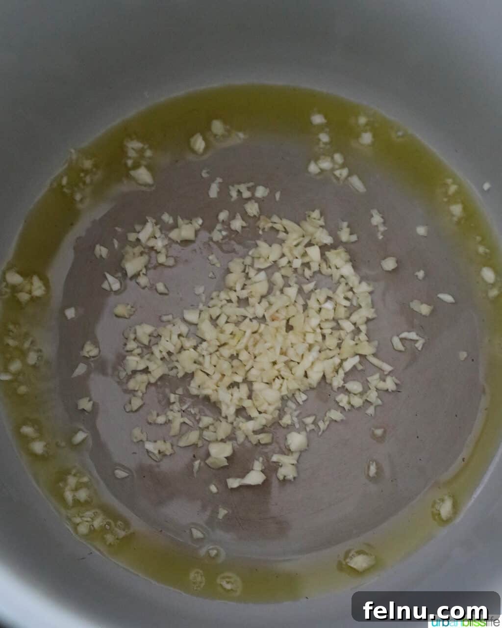 Flavorful Instant Pot Garlic Rice 7 img 77675 6