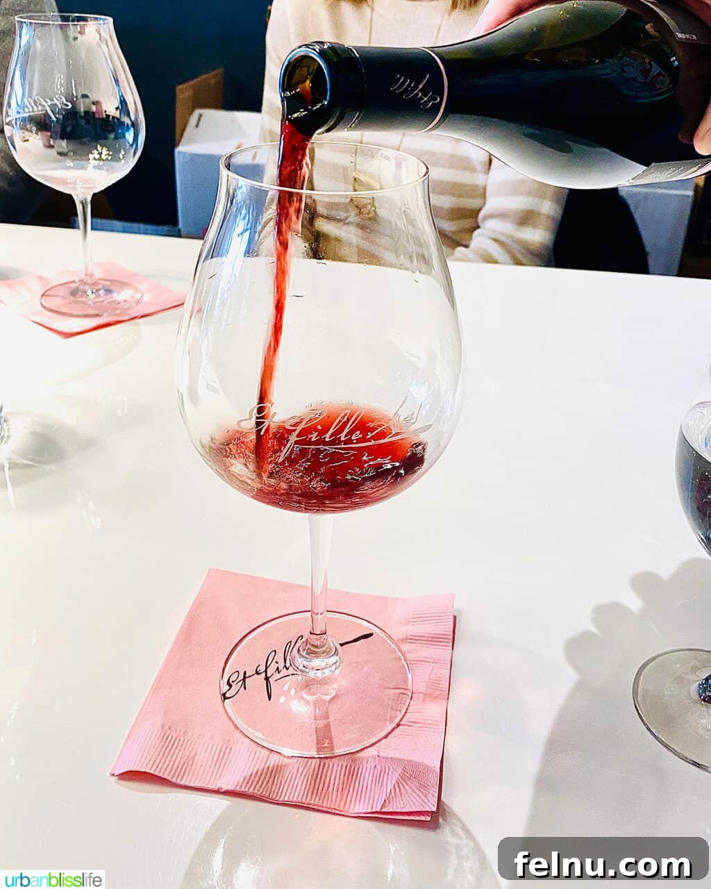 Oregon Wine Tasting: Exploring Yamhill-Carlton AVA 11 Pouring Et Fille Pinot Noir