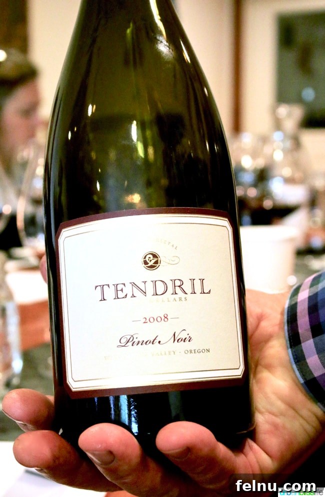 Oregon Wine Tasting: Exploring Yamhill-Carlton AVA 27 Tendril Wines Pinot Noirs