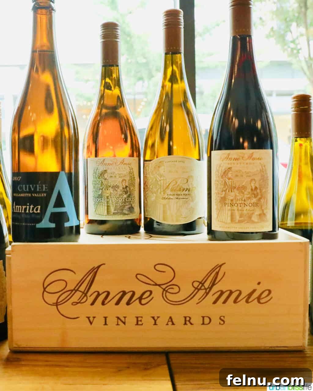Oregon Wine Tasting: Exploring Yamhill-Carlton AVA 7 Selection of Anne Amie wines
