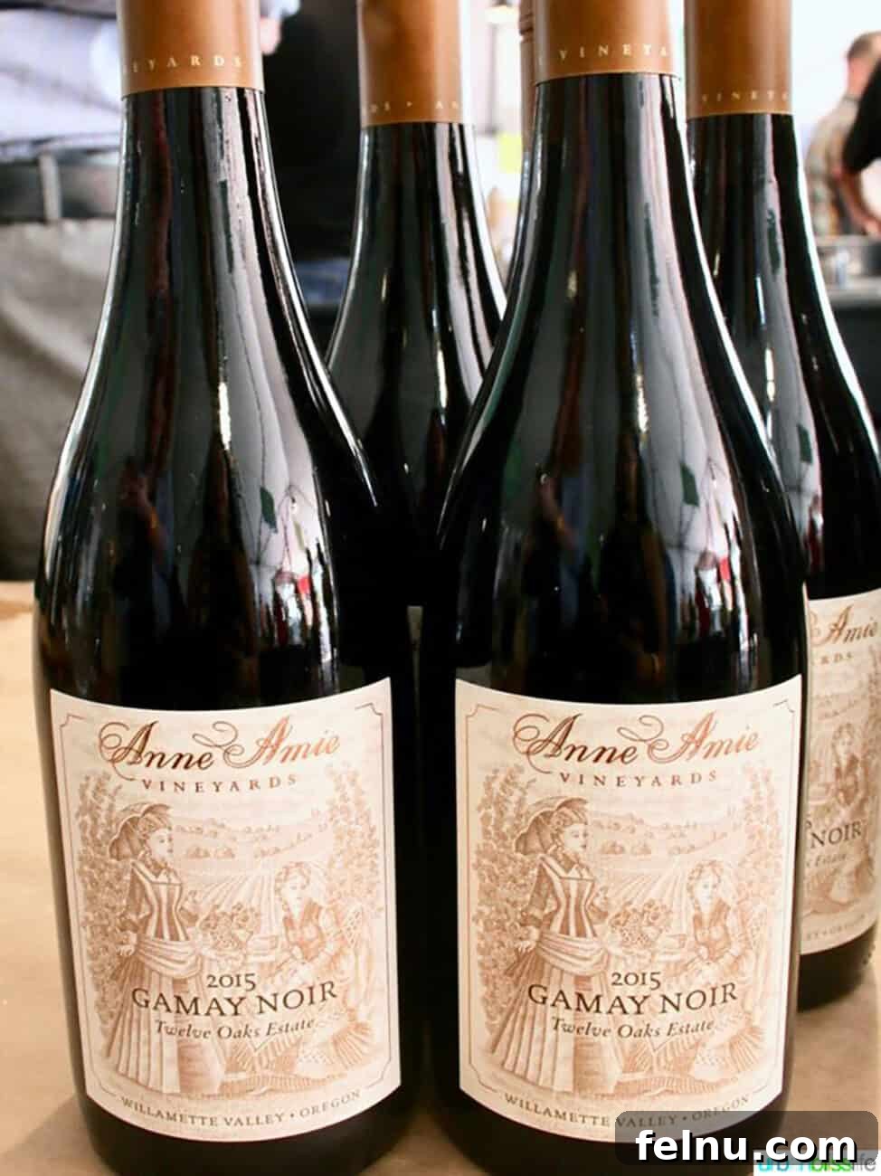 Oregon Wine Tasting: Exploring Yamhill-Carlton AVA 8 Anne Amie Gamay Noir Bottle