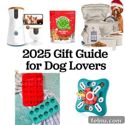 2025 Best Dog Gifts