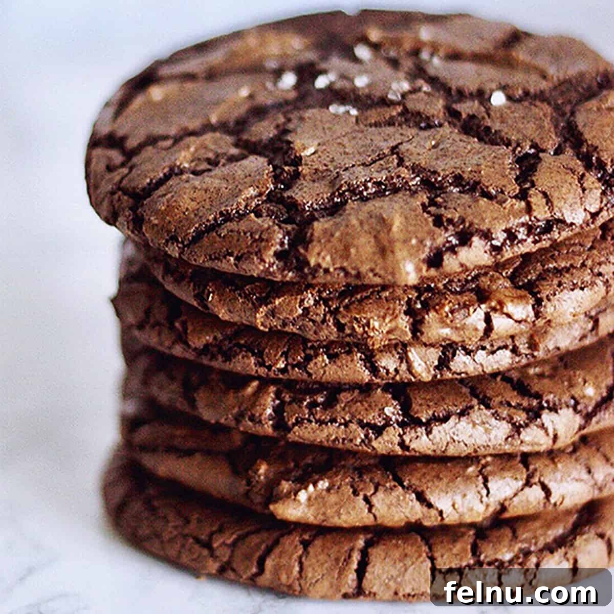 Culinary Kickstart: January 2024 5 chewy chocolate fudge cookies in a stack.