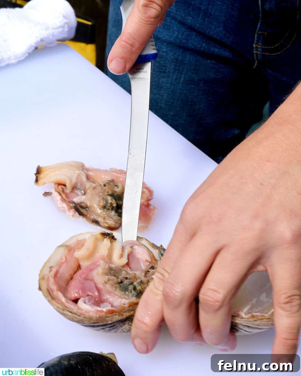 Sharpen Your Skills: The Definitive Guide to Kitchen Knives 5 A sleek boning knife with a flexible blade, designed for precise meat preparation.