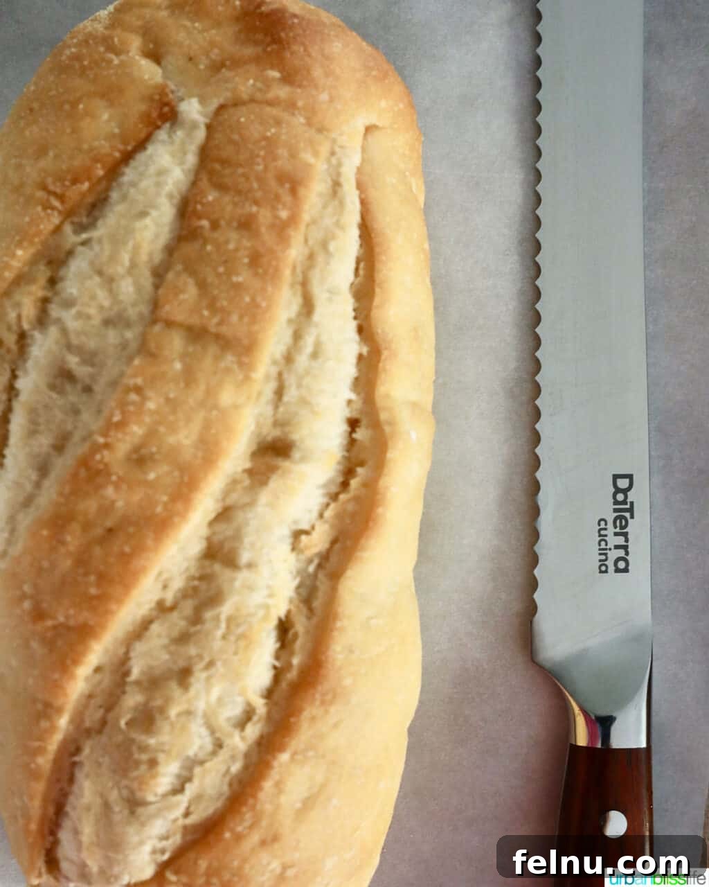 Sharpen Your Skills: The Definitive Guide to Kitchen Knives 8 A long, serrated bread knife resting on a cutting surface, emphasizing its unique blade design.