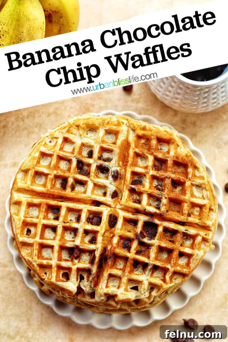 Banana Chocolate Chip Dream Waffles 18 Pin this recipe for later: Banana Chocolate Chip Waffles