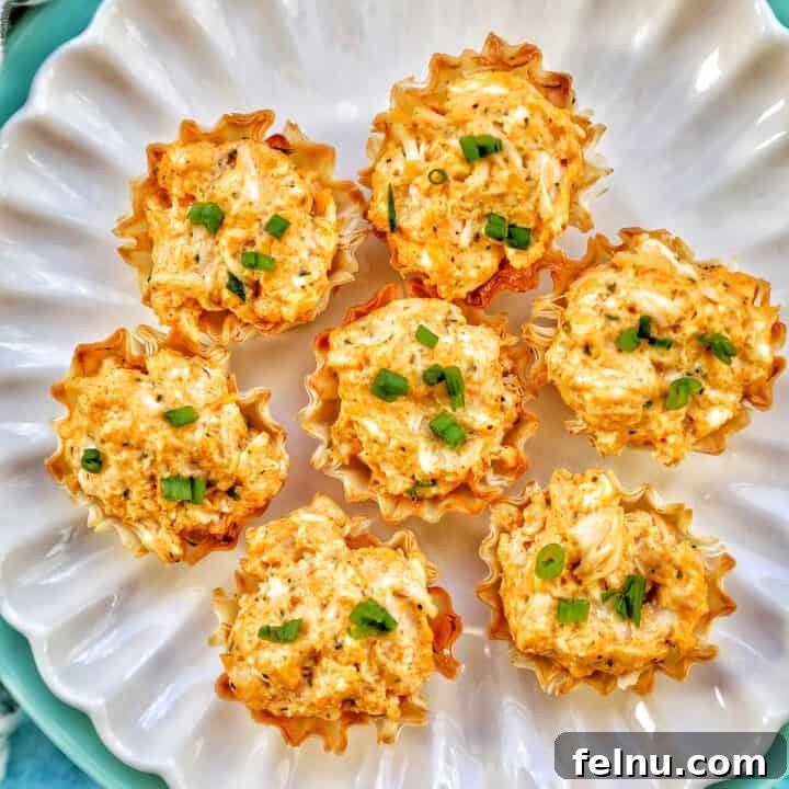 Kickin' Chicken Poppers 19 buffalo chicken bites on a scalloped plate