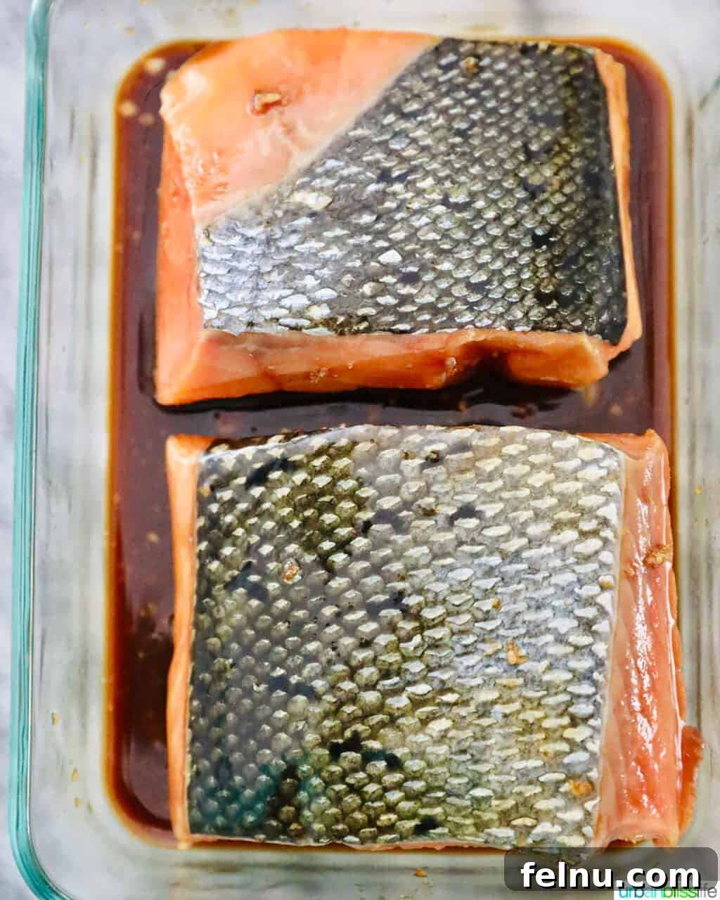 skin side up salmon fillets