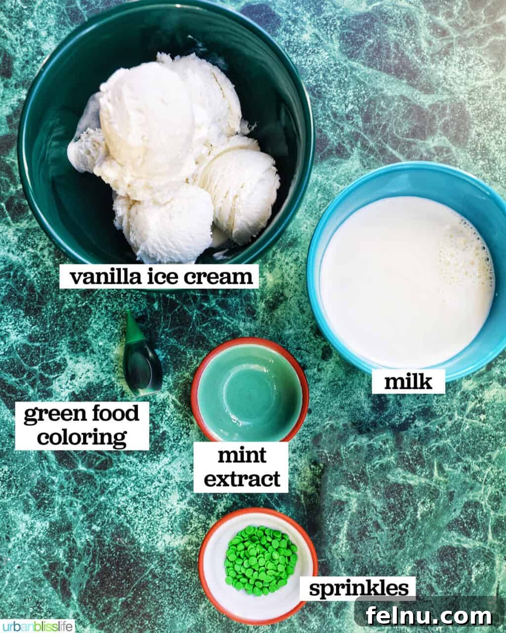 The Best Homemade Shamrock Shake 5 Ingredients to make Shamrock Shake recipe