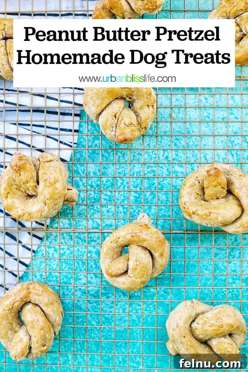 Peanut Butter Pretzel Dog Treats: A Homemade Recipe 19 Peanut Butter Pretzel Homemade Dog Treats with text overlay
