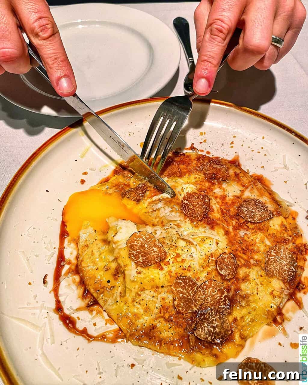 Horizon's Feast 2 raviolo at Earth and Sea restaurant in Carlton, Oregon wine country
