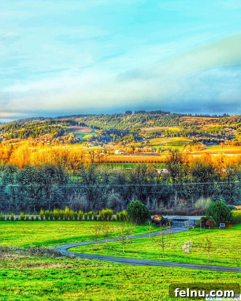 Wine country view at The Setting Inn Willamette Valley