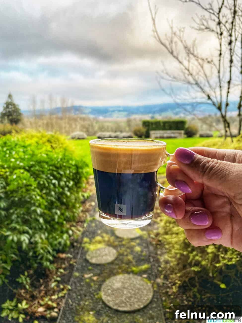 The Willamette Valley Hideaway 20 Espresso at The Setting Inn Willamette Valley