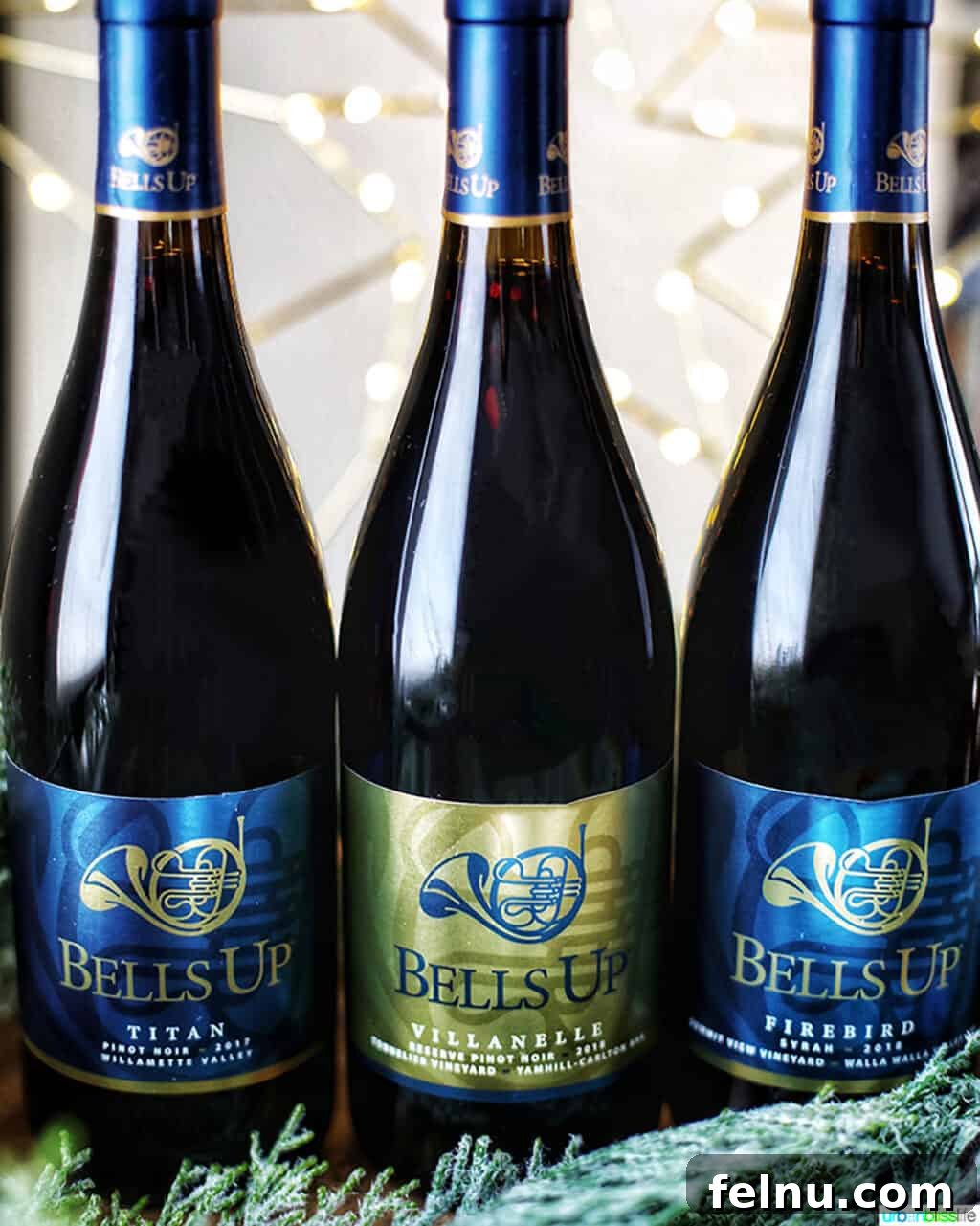 Newberg Wine Trail: A Taste of Oregon's Finest 11 Bells Up Wines