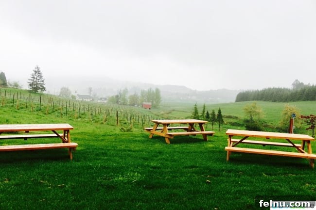 Newberg Wine Trail: A Taste of Oregon's Finest 18 Domaine Divio Outdoor Seating
