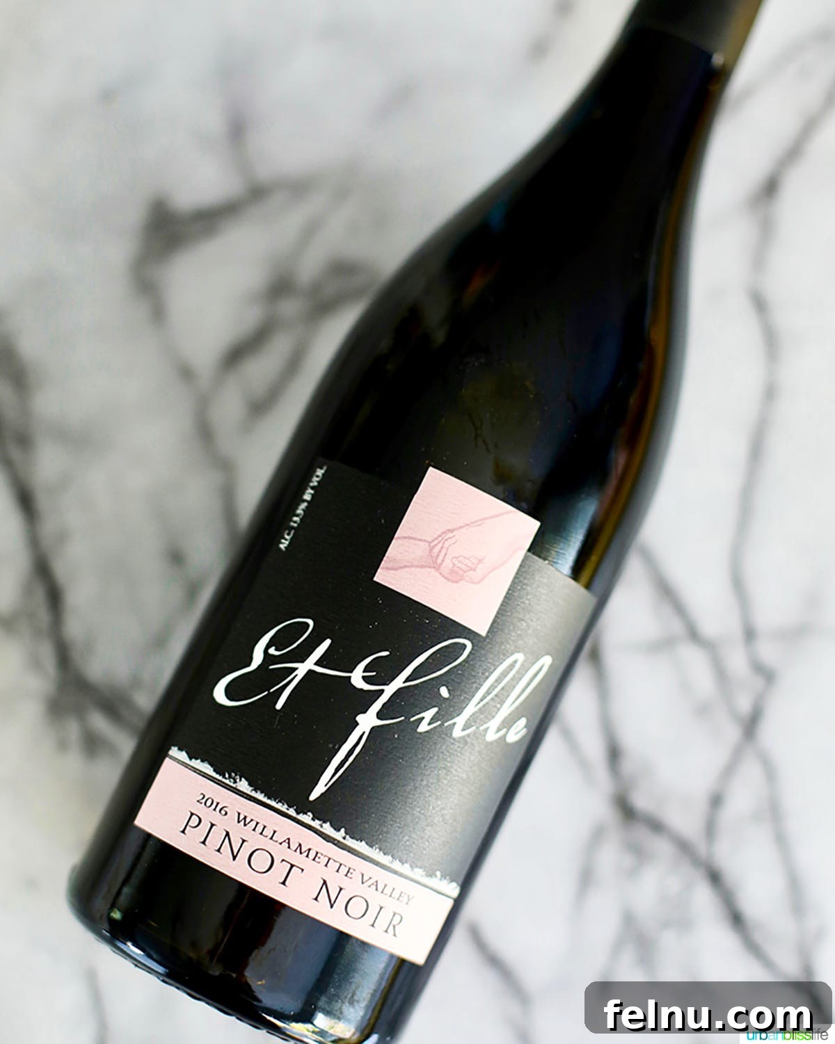 Newberg Wine Trail: A Taste of Oregon's Finest 20 Et Fille Pinot Noir Bottle