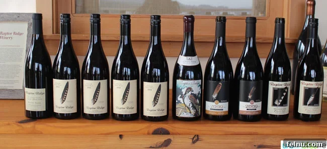 Newberg Wine Trail: A Taste of Oregon's Finest 34 Raptor Ridge Wine Selection