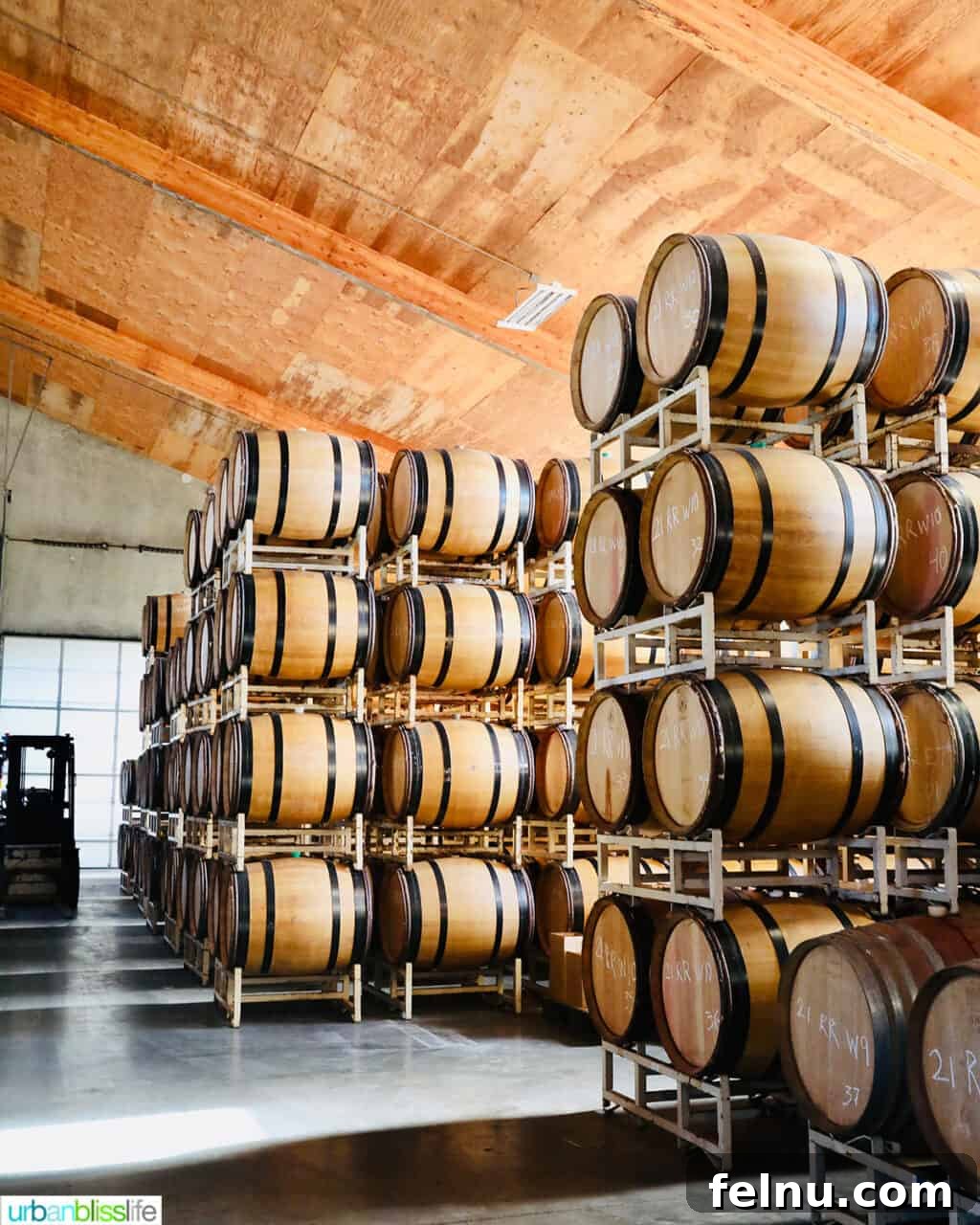 Newberg Wine Trail: A Taste of Oregon's Finest 39 Roco Barrel Room
