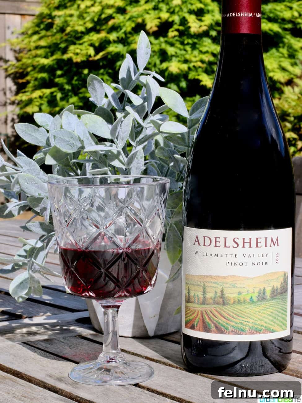 Newberg Wine Trail: A Taste of Oregon's Finest 7 Adelsheim Pinot Noir Bottle
