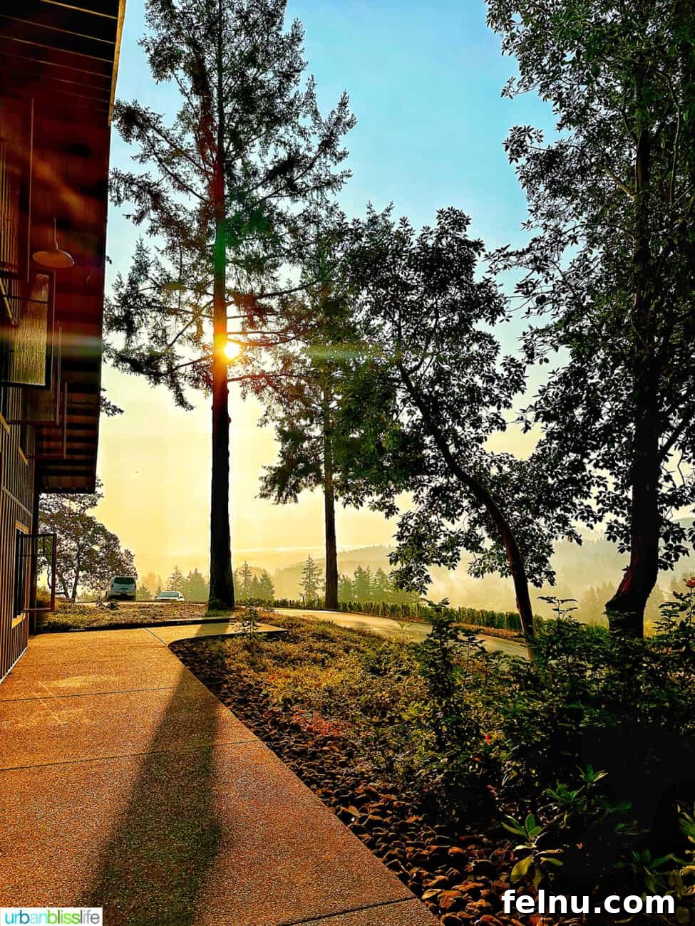 Newberg Wine Trail: A Taste of Oregon's Finest 8 Anderson Family Vineyard at Sunrise