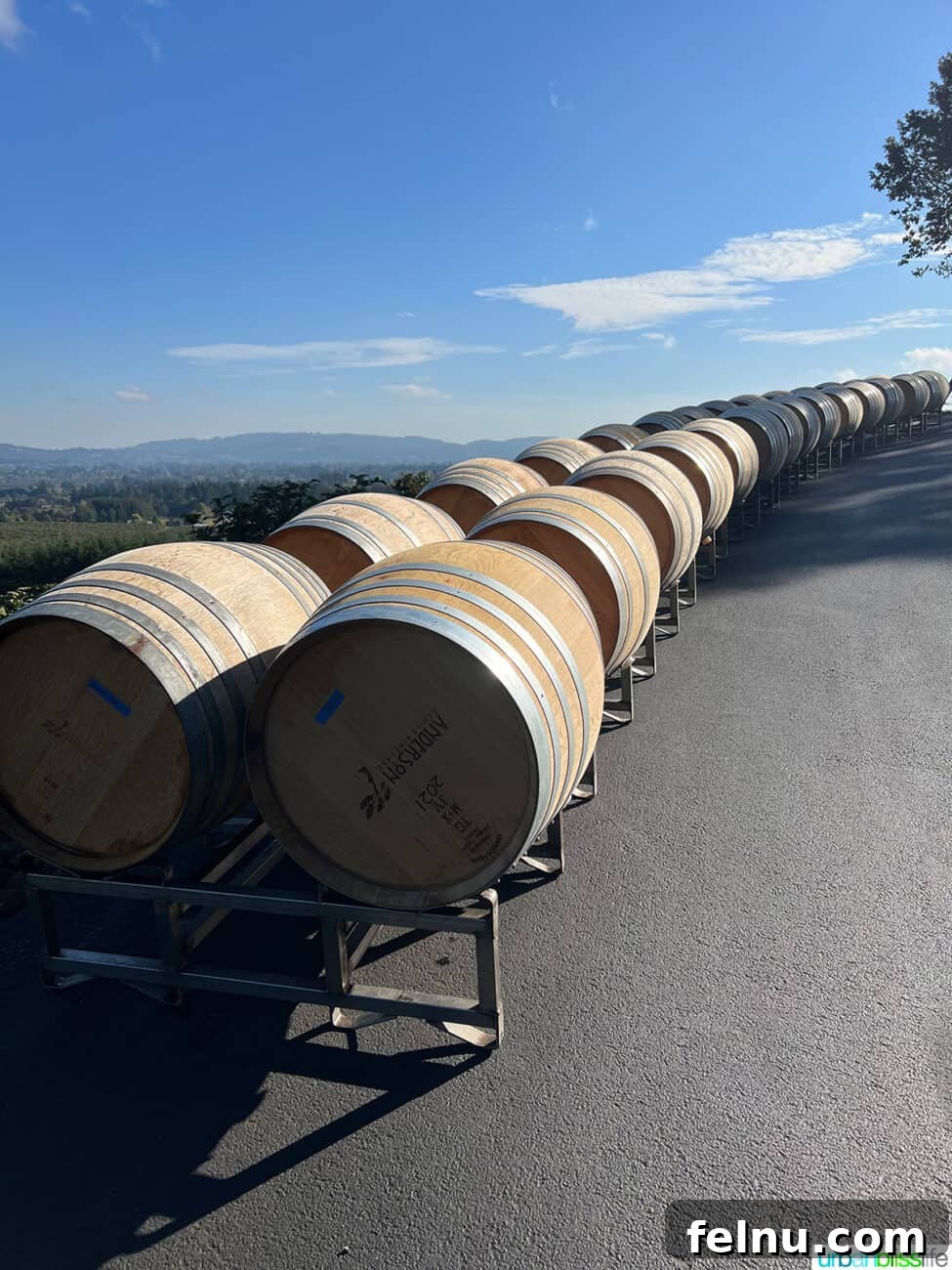 Newberg Wine Trail: A Taste of Oregon's Finest 10 Anderson Family Vineyard Barrels