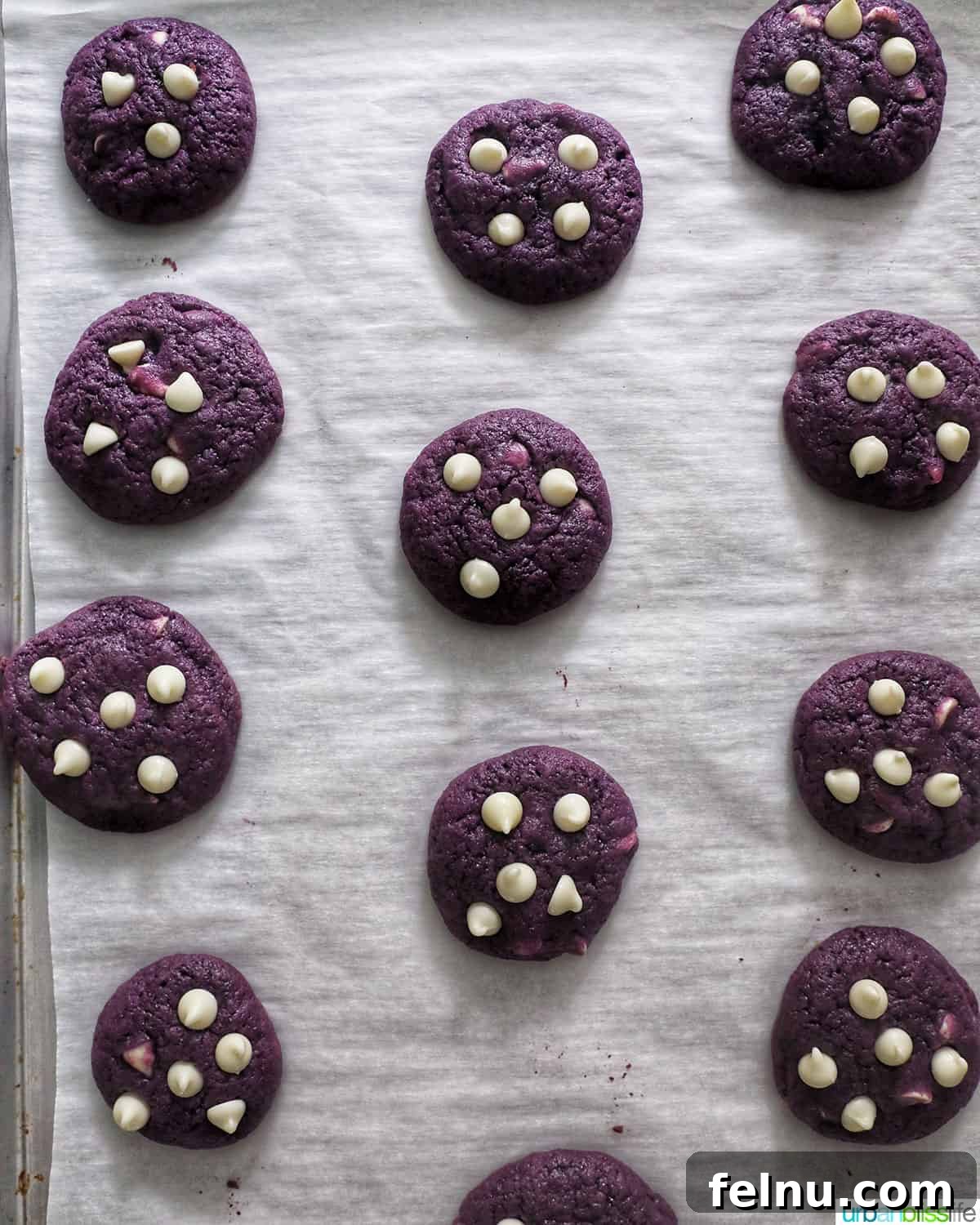 Ube and White Chocolate Dream Cookies 17 Freshly baked Ube White Chocolate Chip Cookies on a baking sheet.