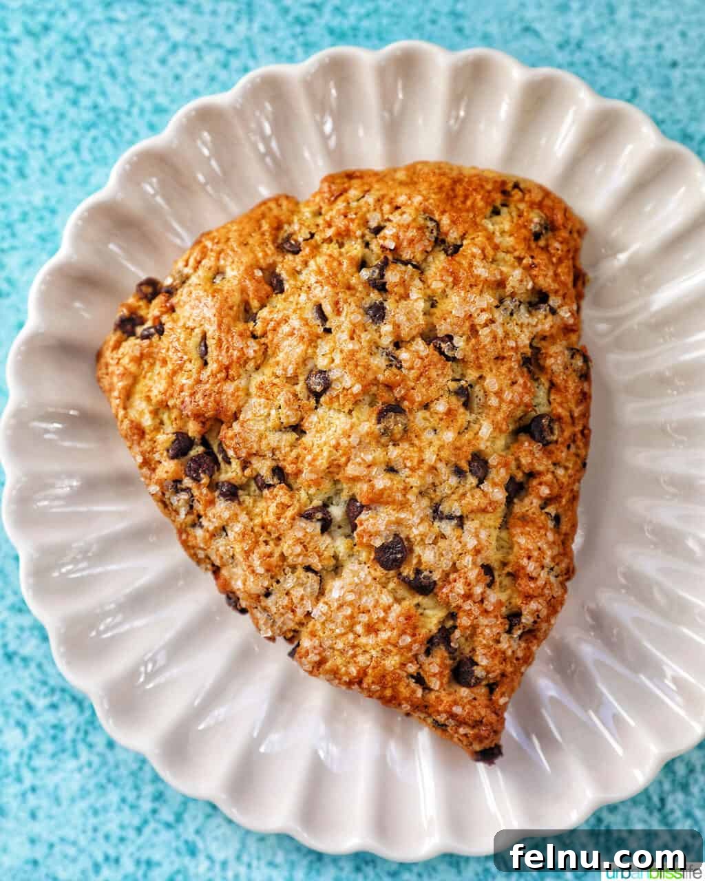 St. Barbara's Filipino Delights 9 Chocolate chip scone