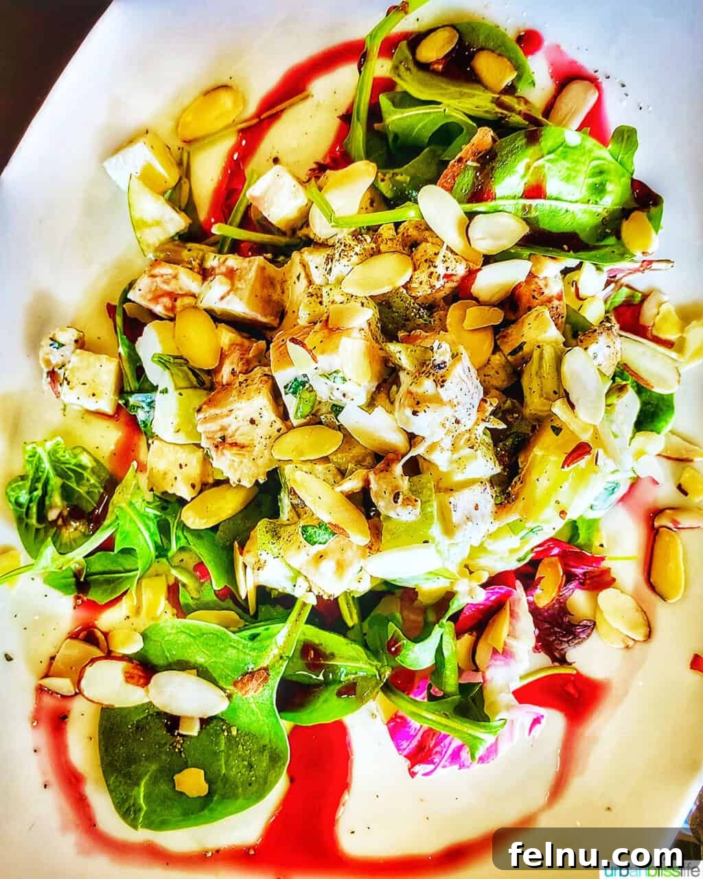 Newbergundian Bistro: A Culinary Gem 3 Chicken salad at Newbergundian Bistro in Newberg, Oregon