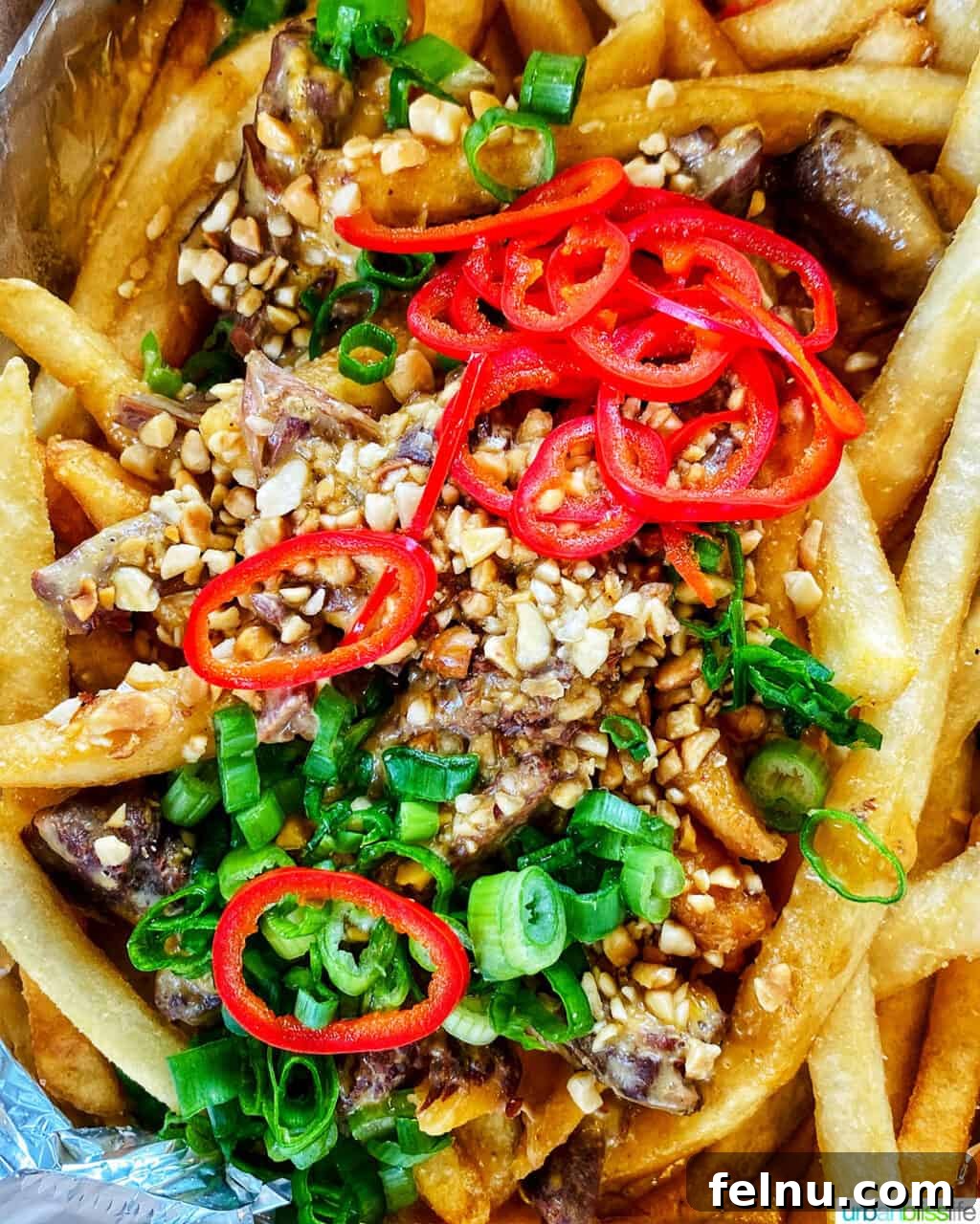 Pinoy Grab & Go 4 kare kare fries at Baon Kainan Filipino food truck