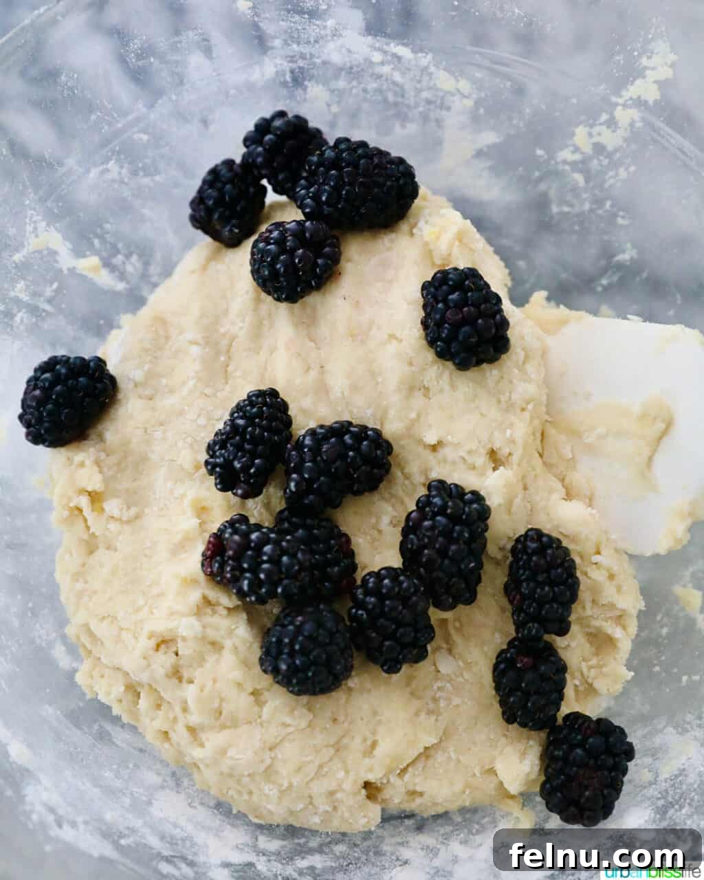 Blackberries into scone dough