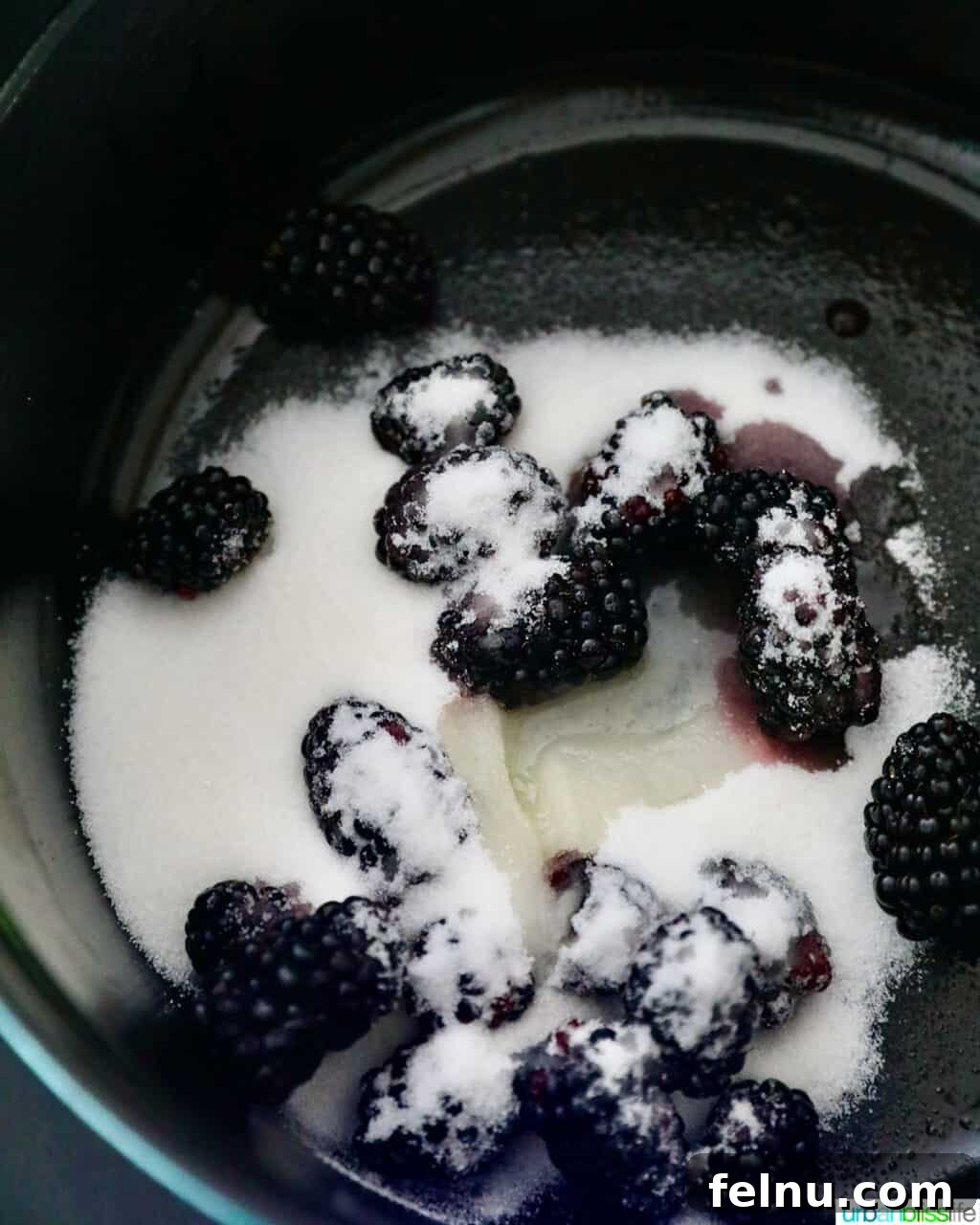 Blackberries and sugar in pot