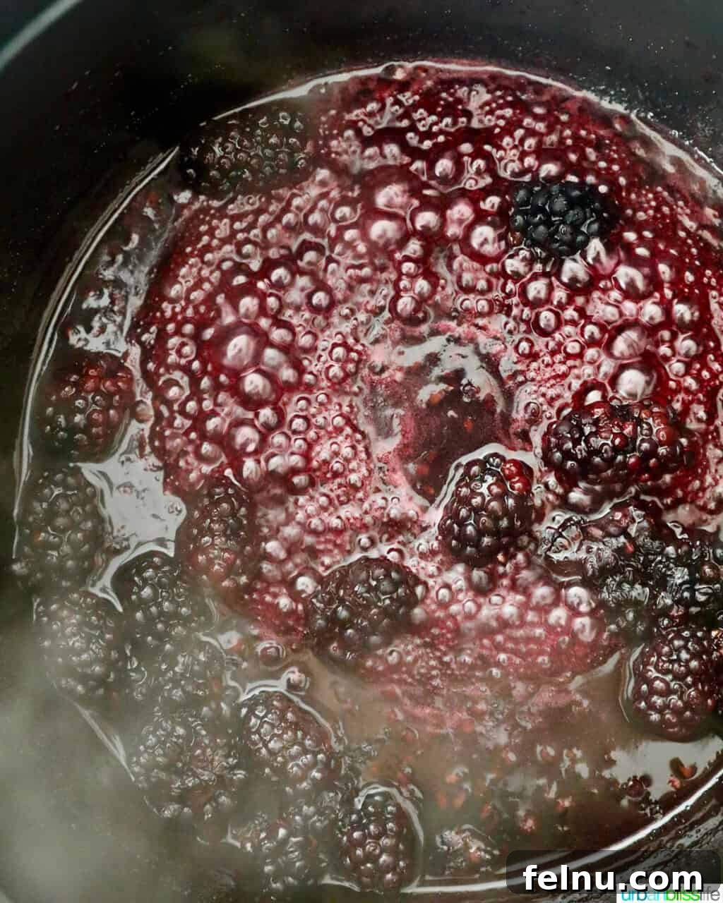 Blackberry sauce boiling in pot