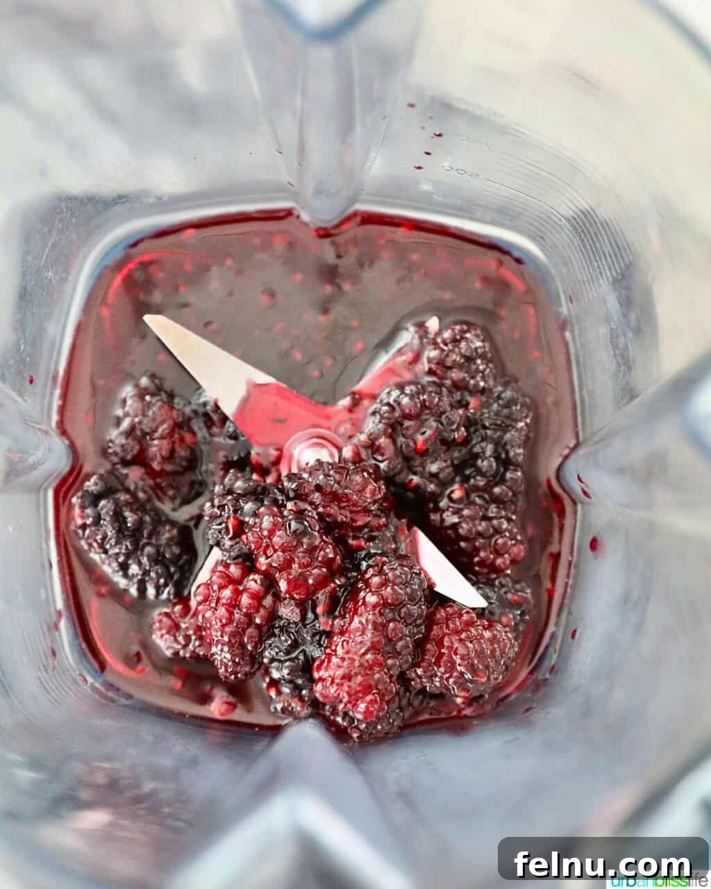 Blackberry mix in blender
