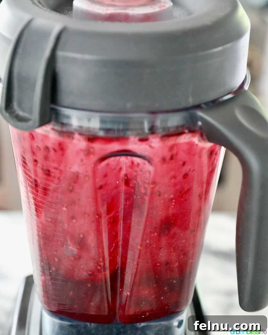 Blender of blackberry sauce