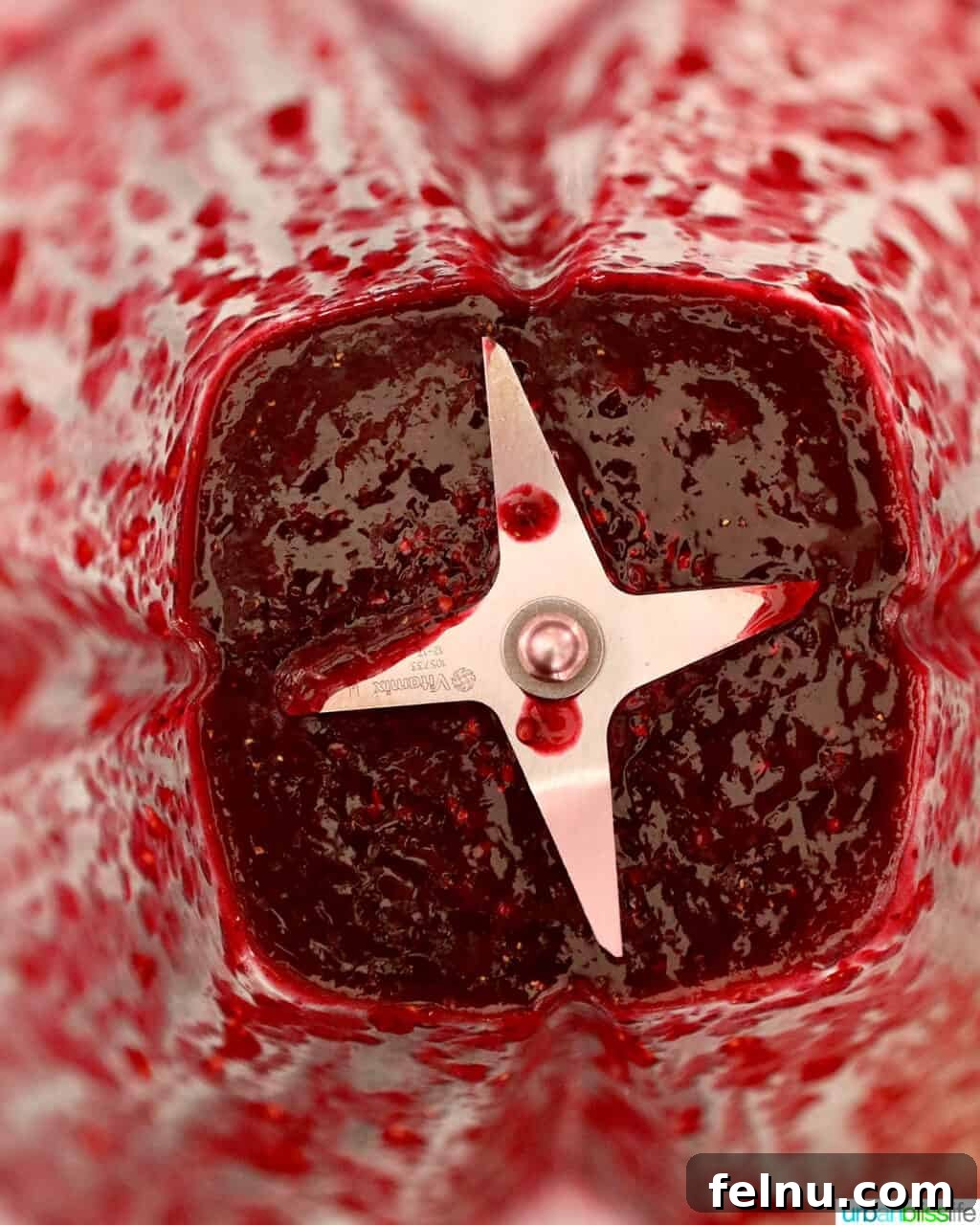 Blender of blackberry sauce