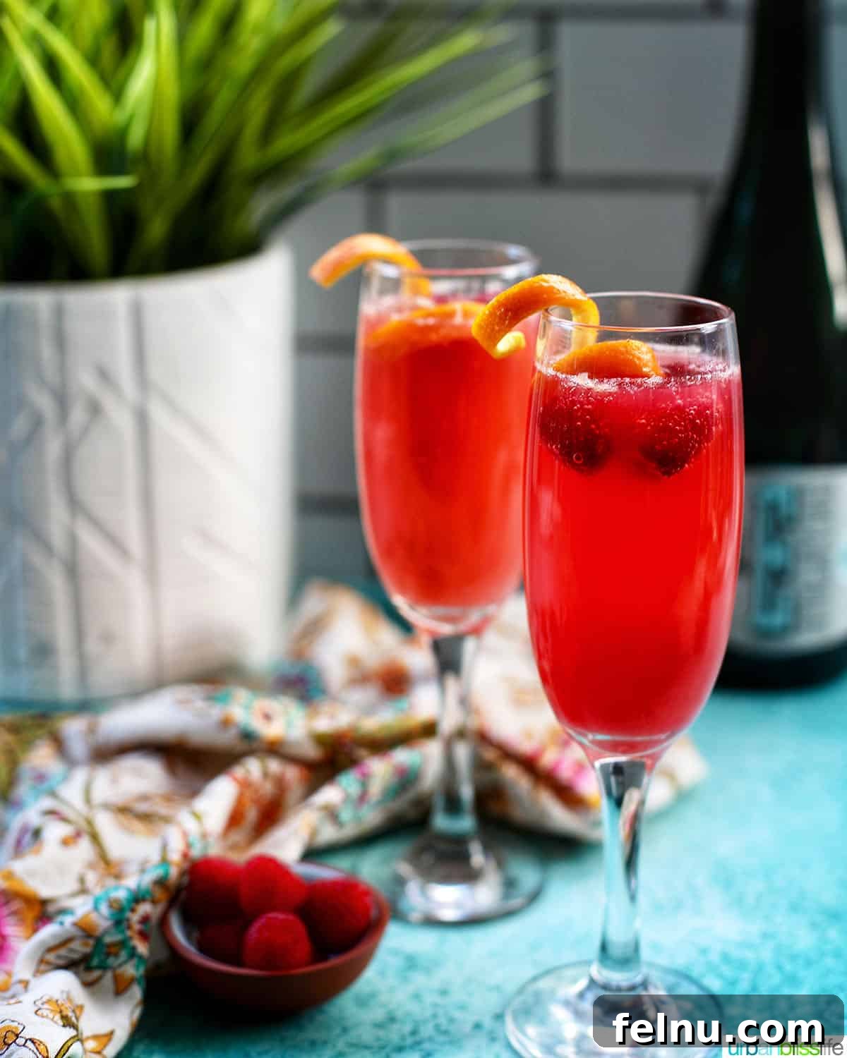 Raspberry Sparklers 2 Two glasses of Raspberry Mimosas garnished with fresh raspberries and orange rind. A white vase with a green plant and a sparkling wine bottle are visible in the background.