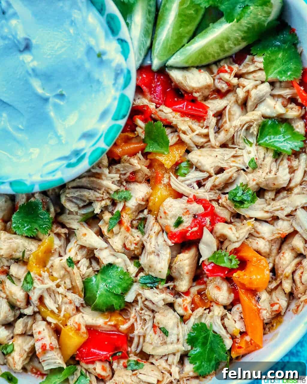 Sizzling Instant Pot Chicken Fajitas 16 Shredded chicken fajitas