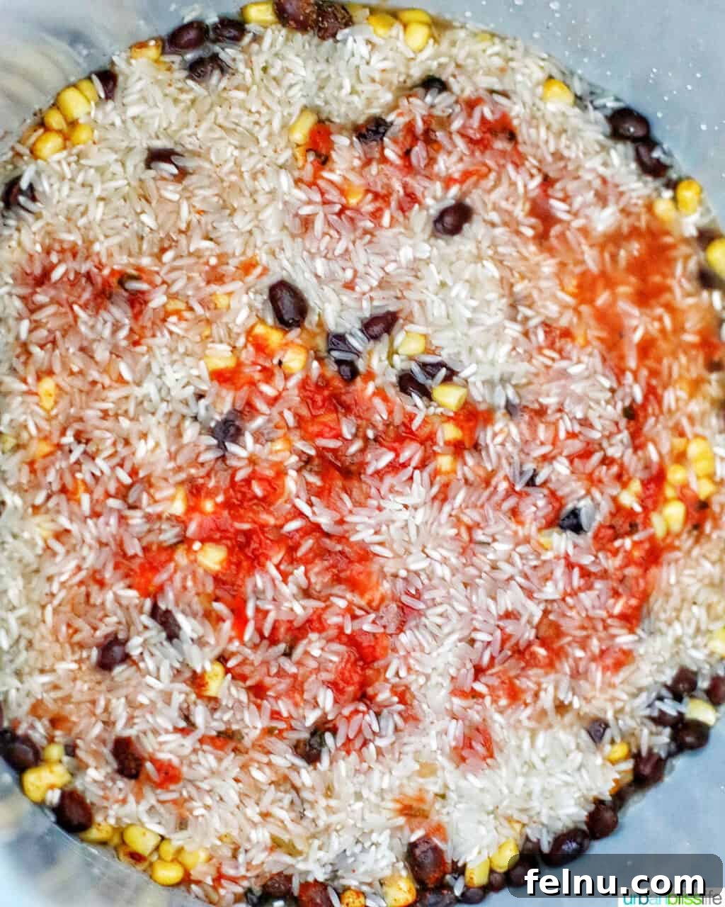 Vegetarian Burrito Bowl: A Speedy Instant Pot Delight 11 ingredients to make Instant Pot Vegetarian Burrito Bowl in the instant pot