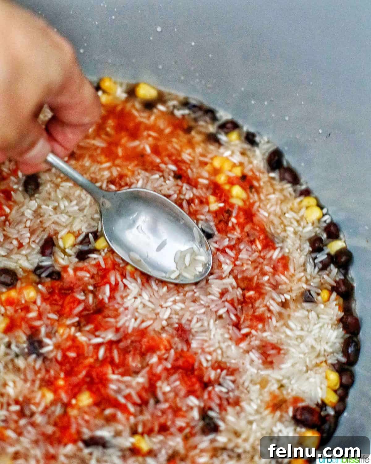 Vegetarian Burrito Bowl: A Speedy Instant Pot Delight 10 ingredients to make vegetarian burrito bowls in the instant pot
